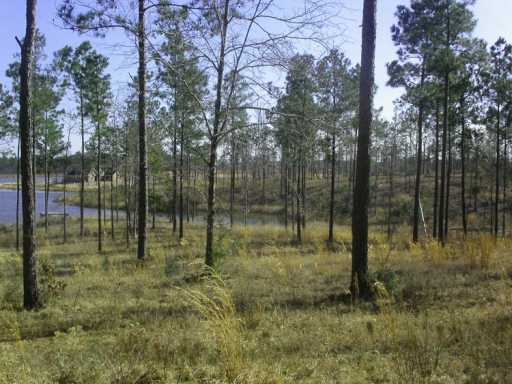 Lot #16 Lot Mitchell Road, Unit 16 Leakesville, MS 39451 - Photo 4 of 6 Additional Photo