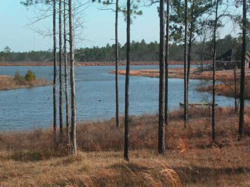 Lot #16 Lot Mitchell Road, Unit 16 Leakesville, MS 39451 - Photo 6 of 6 Additional Photo