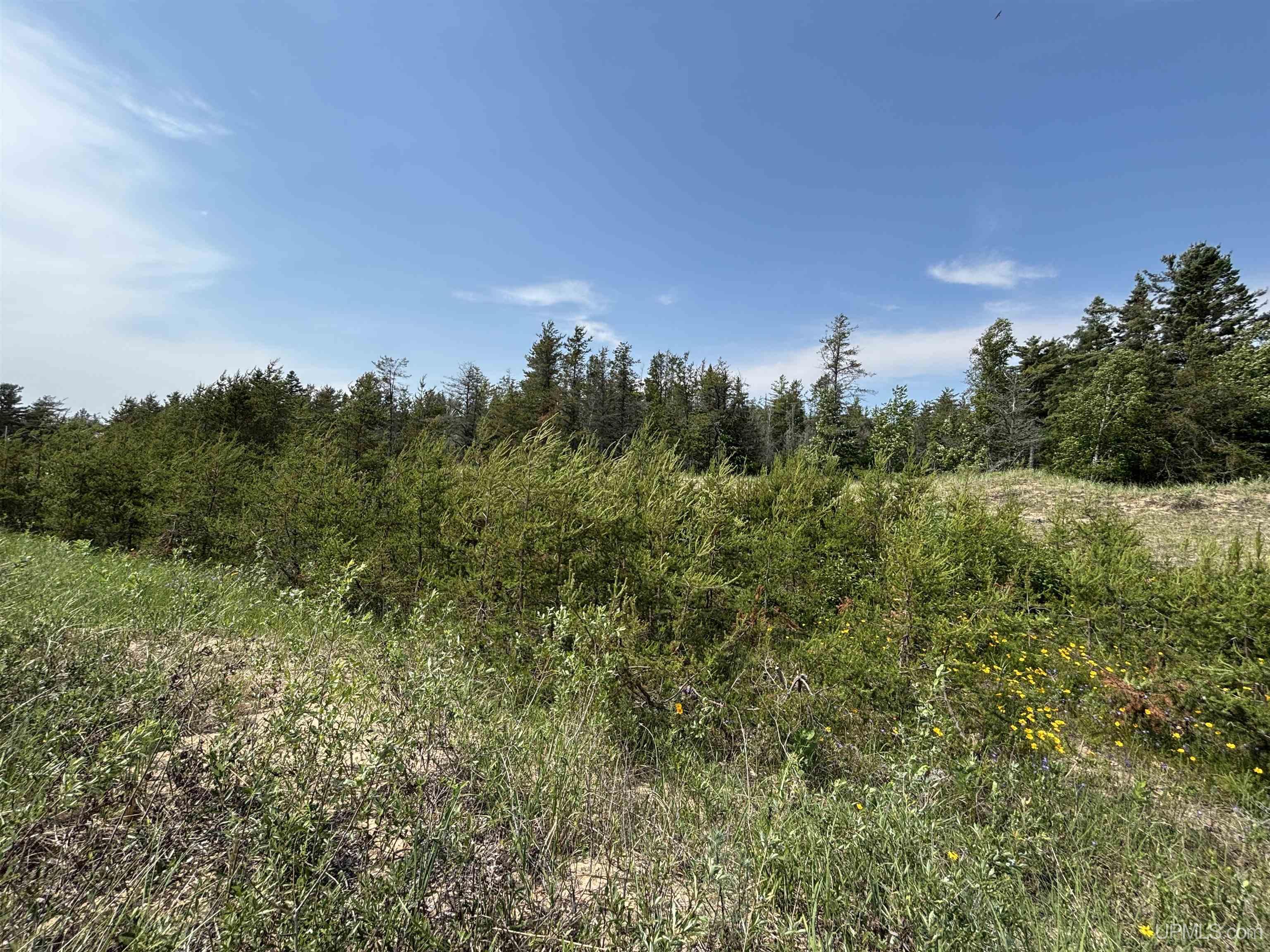Tbd West Beach Road Naubinway, MI 49762 - Photo 25 of 45
