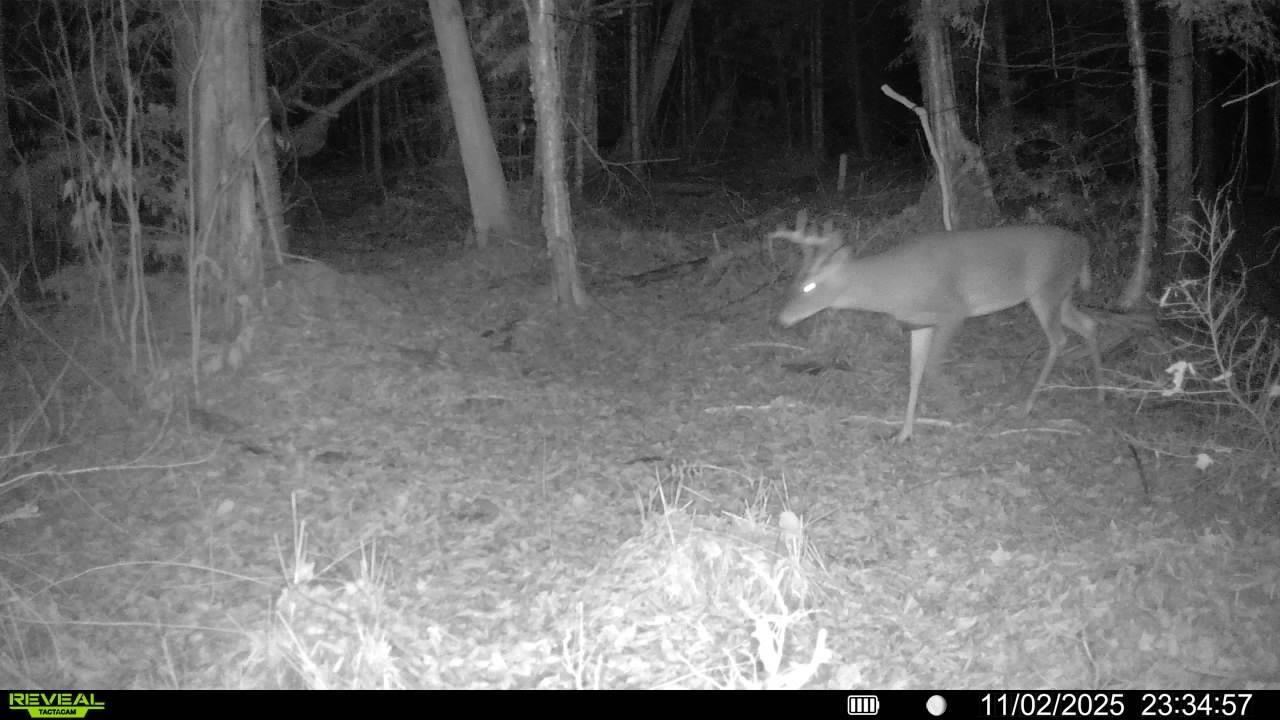 Vl South 27 Road Cadillac, MI 49601 - Photo 18 of 45
