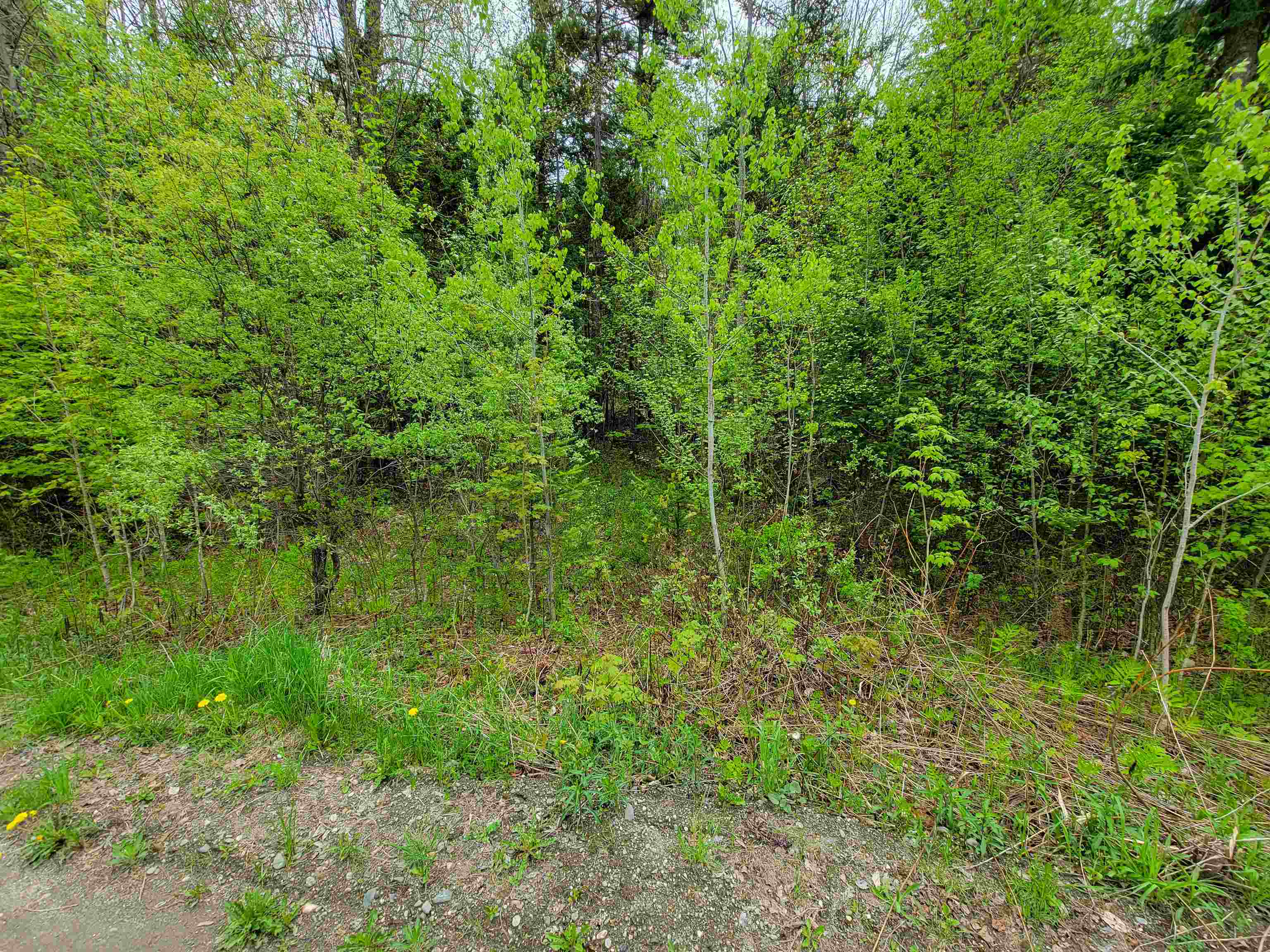720 Brookview Lane Wolcott, VT 05680 - Photo 33 of 48
