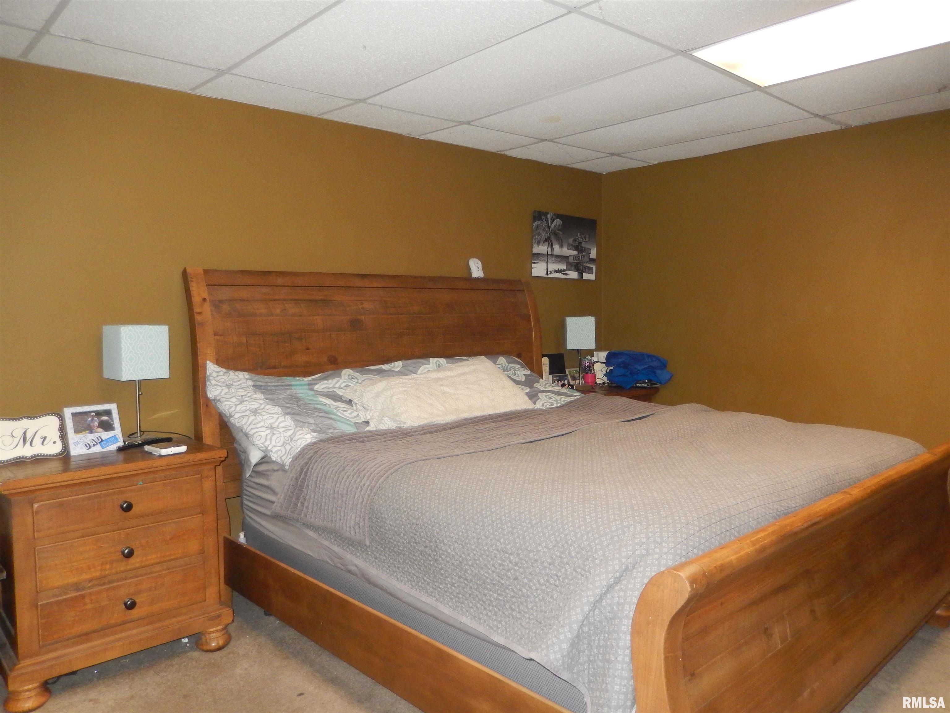 313 Wetaug Road Dongola, IL 62926 - Photo 16 of 25