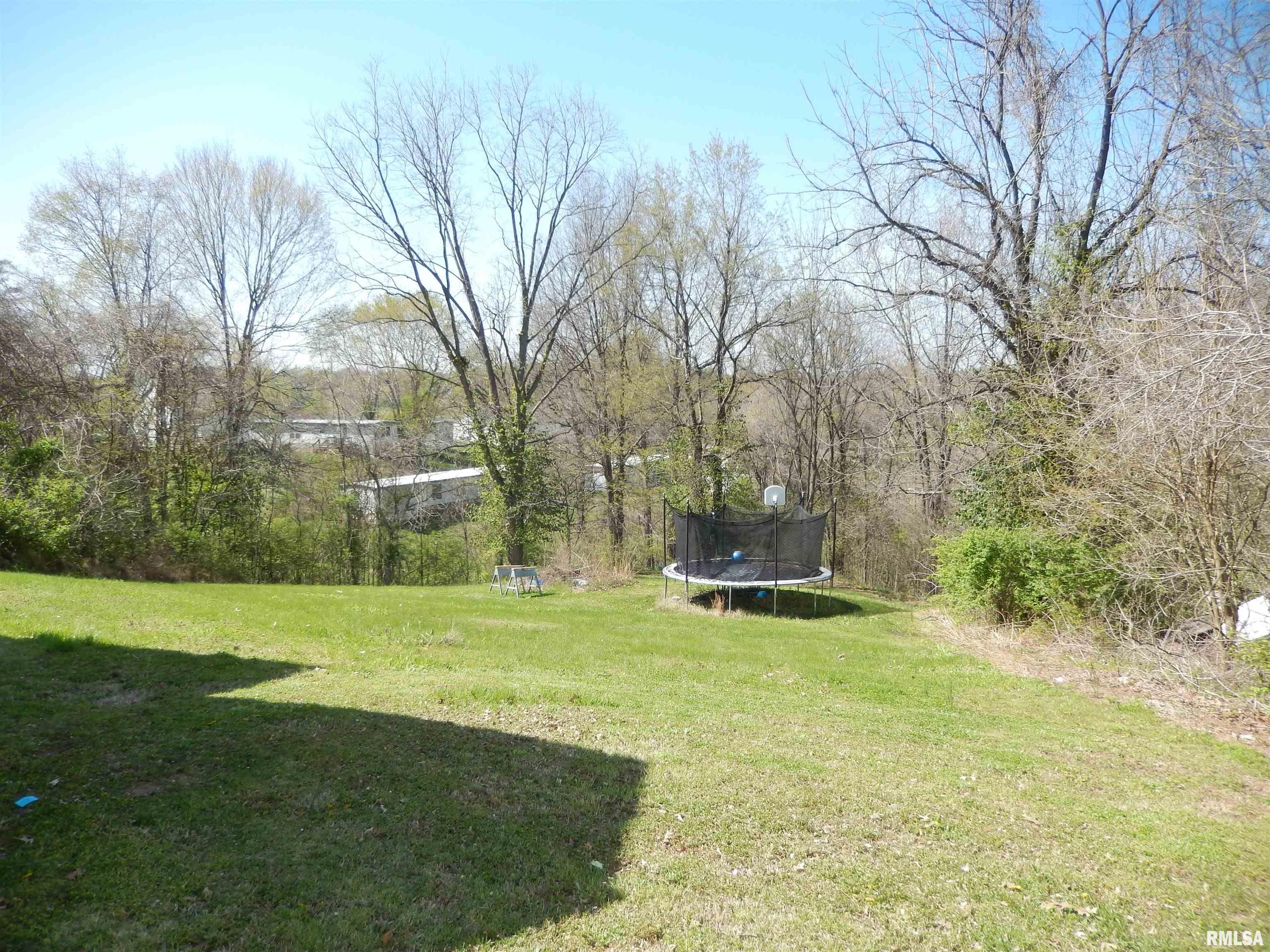 313 Wetaug Road Dongola, IL 62926 - Photo 8 of 25