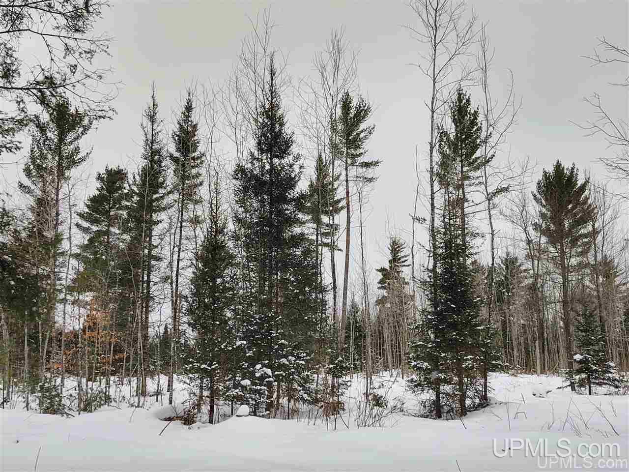 Tbd Forest Hwy 16 Road Iron River, MI 49935 - Photo 40 of 49