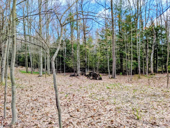 $29,900 | Vl West Jagger Road, Ludington, MI 49431
