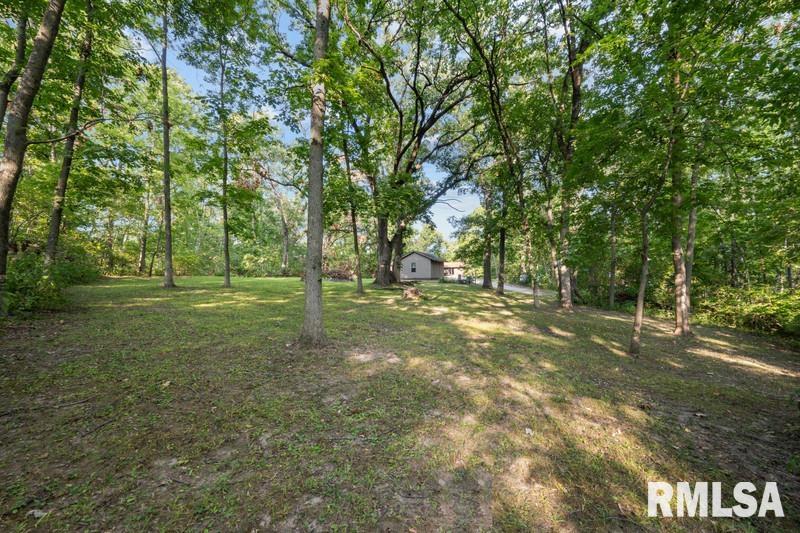 2992 158th Avenue Sherrard, IL 61281 - Photo 11 of 39