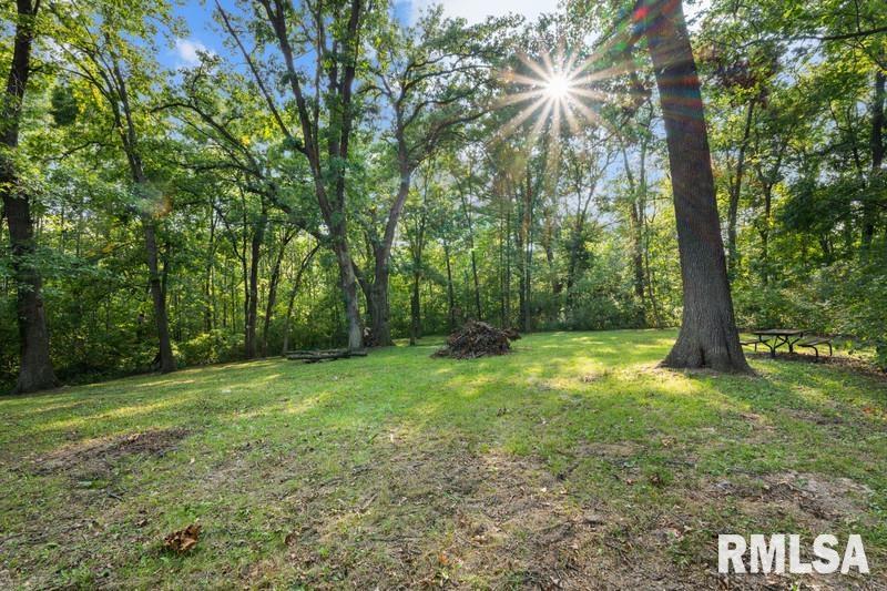 2992 158th Avenue Sherrard, IL 61281 - Photo 9 of 39