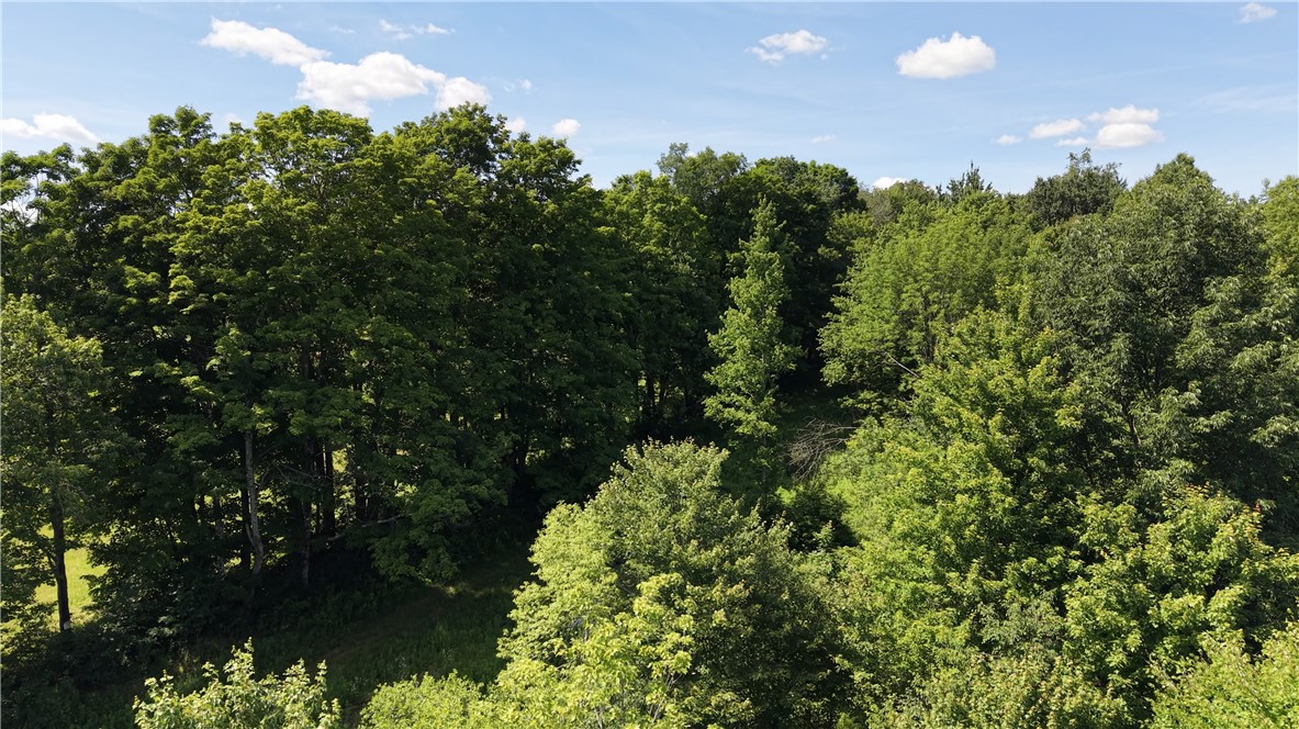 409 Cty Road Cincinnatus, NY 13040 - Photo 12 of 29