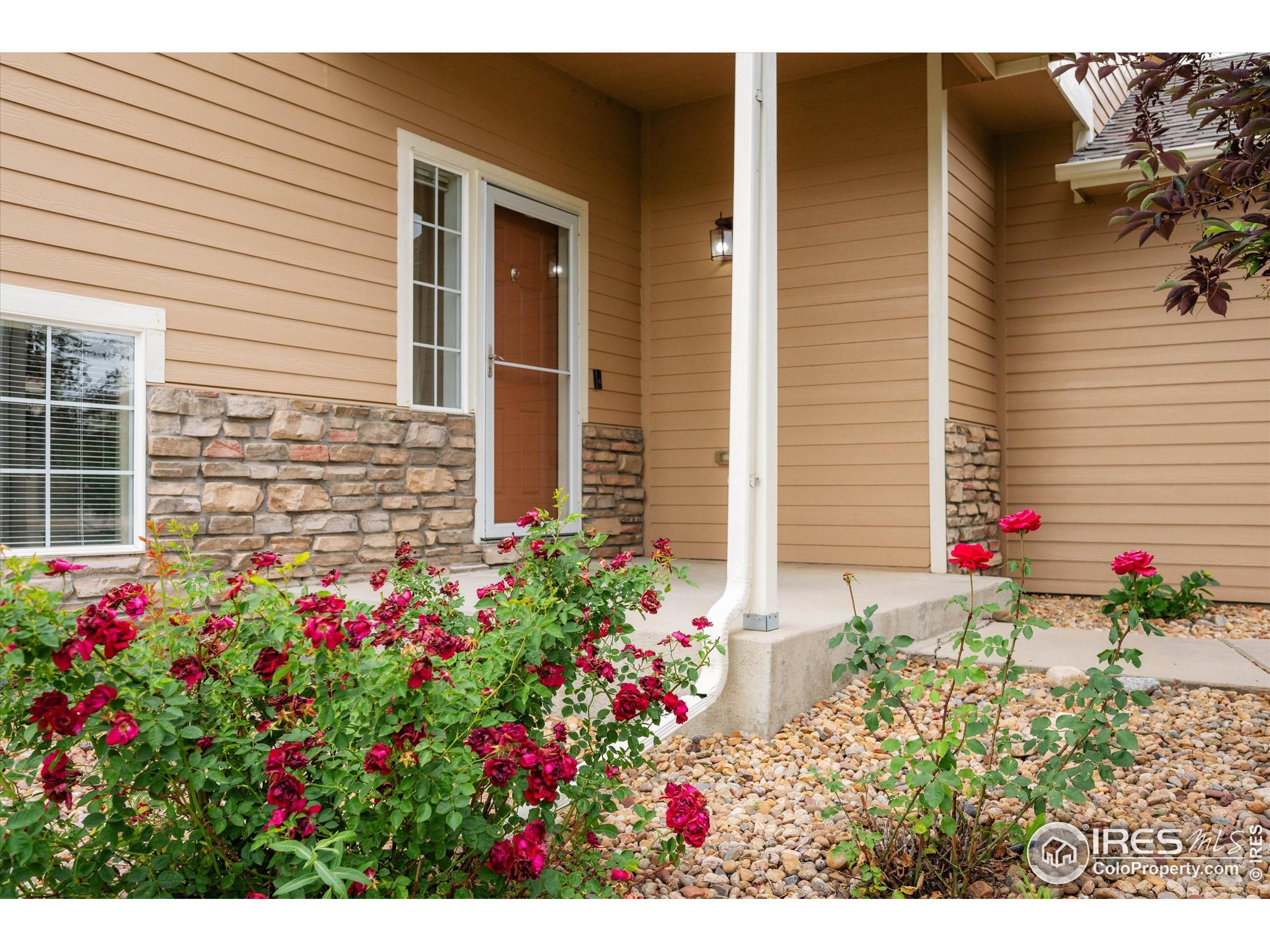 5452 Rustic Avenue Firestone, CO 80504 - Photo 5 of 39