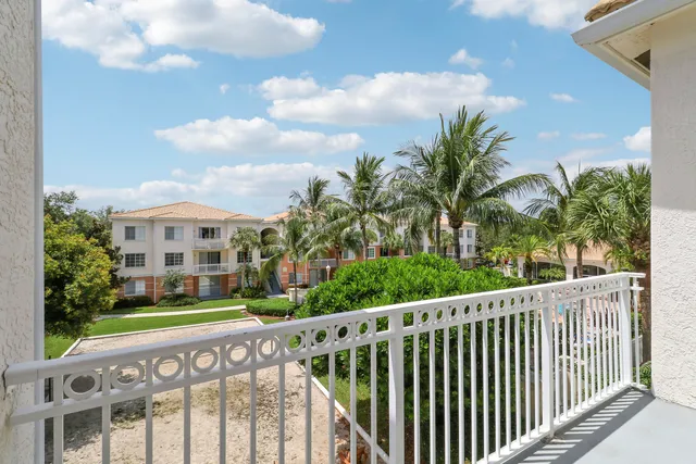 a view of a yard with plants and trees