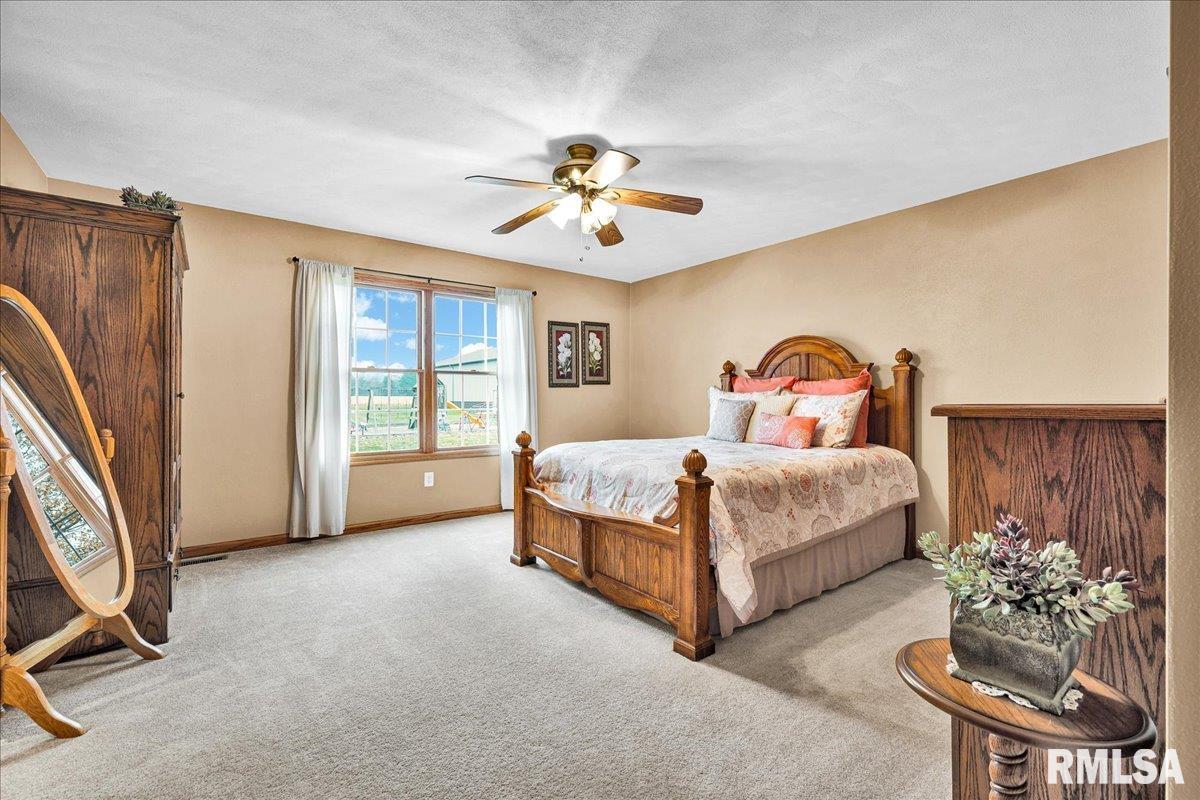 26773 North Copperas Creek Road Canton, IL 61520 - Photo 20 of 69