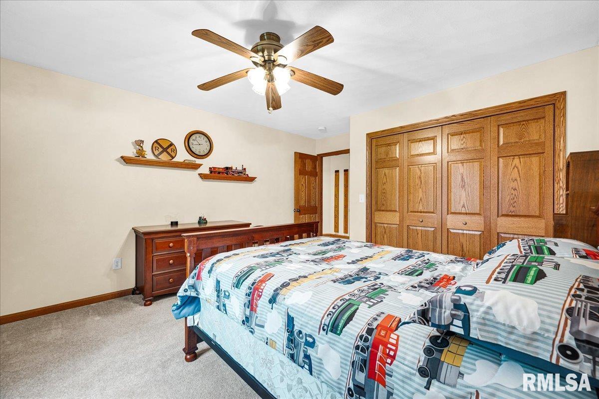 26773 North Copperas Creek Road Canton, IL 61520 - Photo 25 of 69