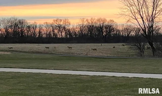 $625,000 | 26773 North Copperas Creek Road, Canton, IL 61520