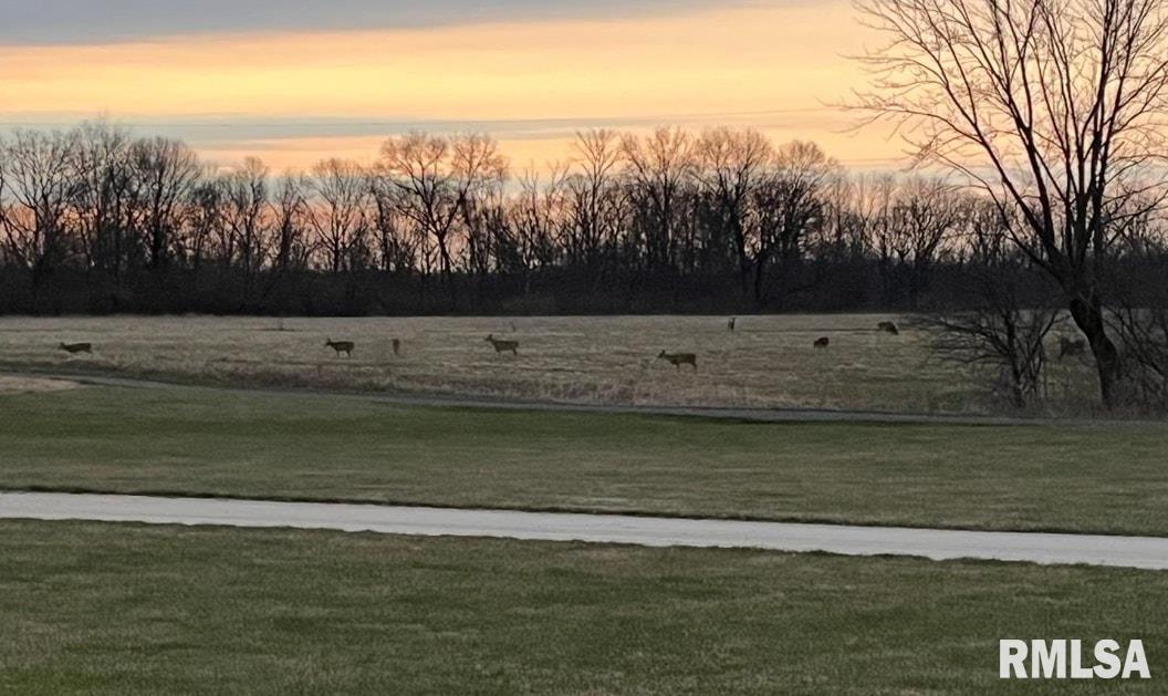 26773 North Copperas Creek Road Canton, IL 61520 - Photo 64 of 69