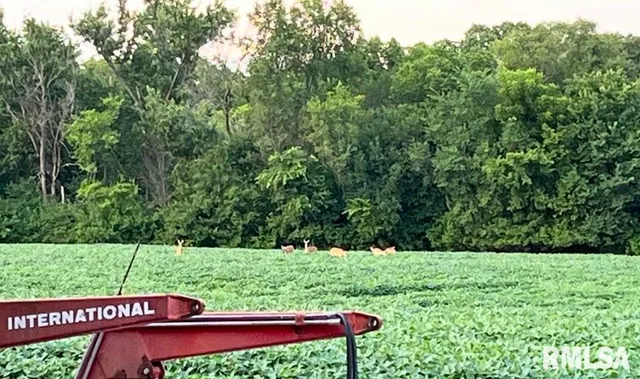 $625,000 | 26773 North Copperas Creek Road, Canton, IL 61520