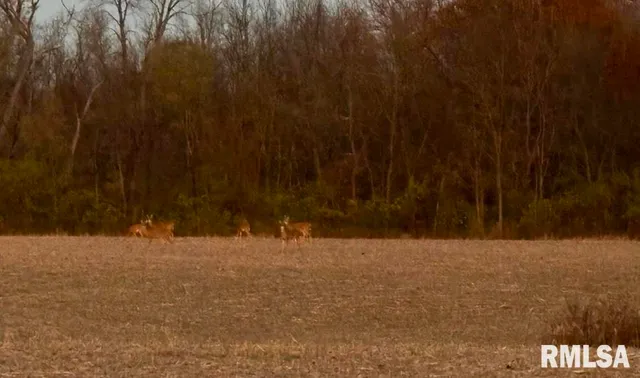 $625,000 | 26773 North Copperas Creek Road, Canton, IL 61520