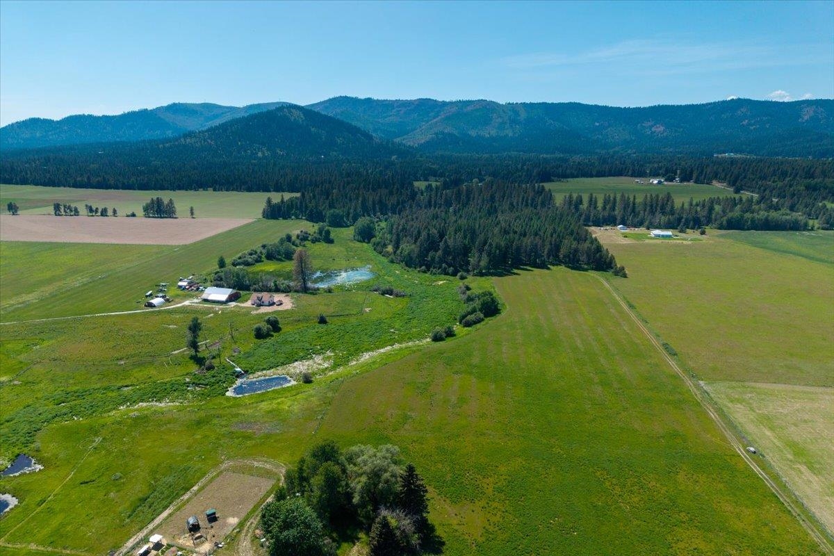 4668 Williams Valley Road Clayton, WA 99110 - Photo 12 of 44