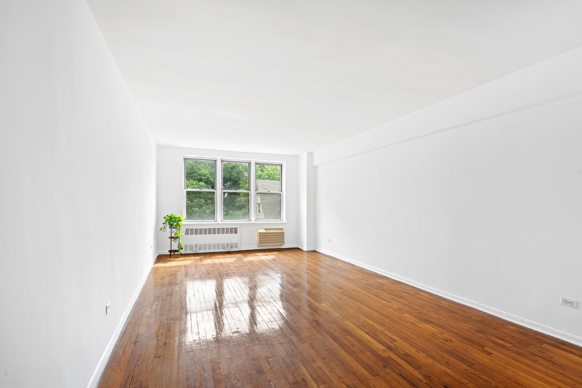415 Argyle Road, Unit 4A Brooklyn, NY 11218 - Photo 4 of 12