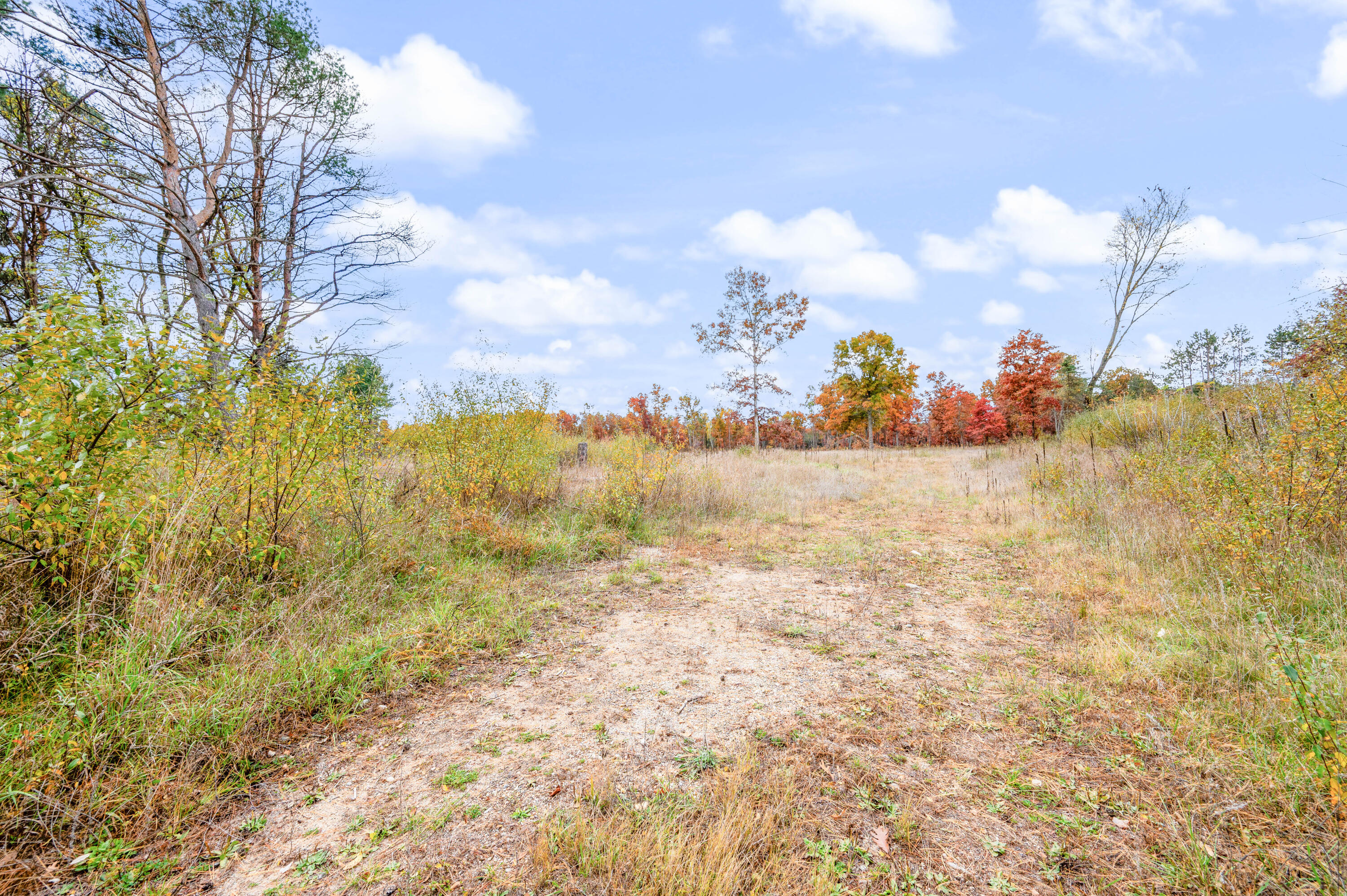 18751 16 Mile Road Big Rapids, MI 49307 - Photo 12 of 68 18751-16MileRd-BR-12