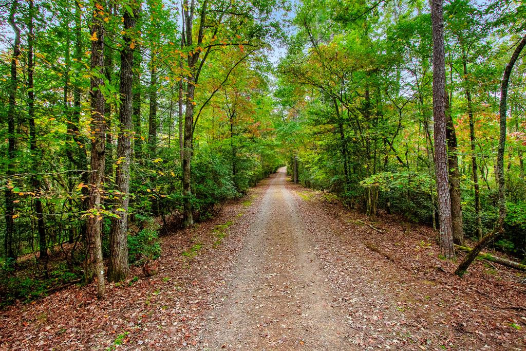 86 Mill Creek Road Murphy, NC 28906 - Photo 5 of 89