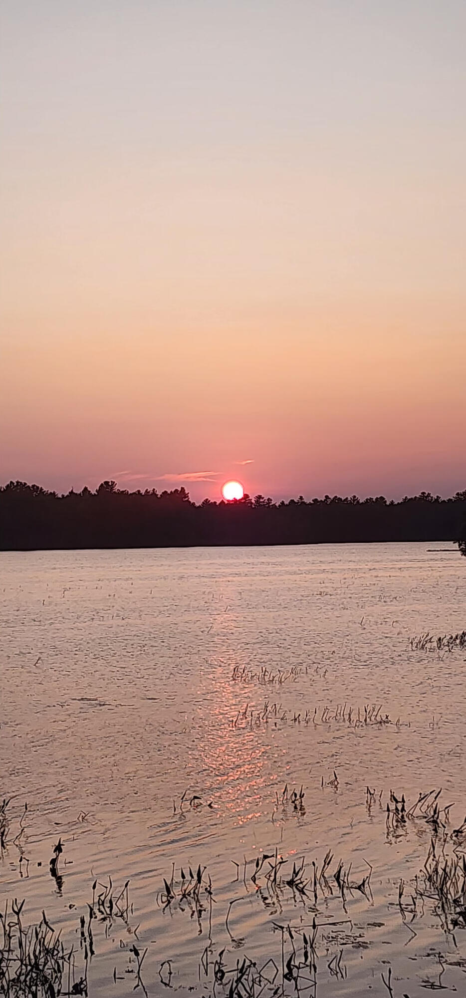 6 Wilderness Way Wesley, ME 04686 - Photo 5 of 26