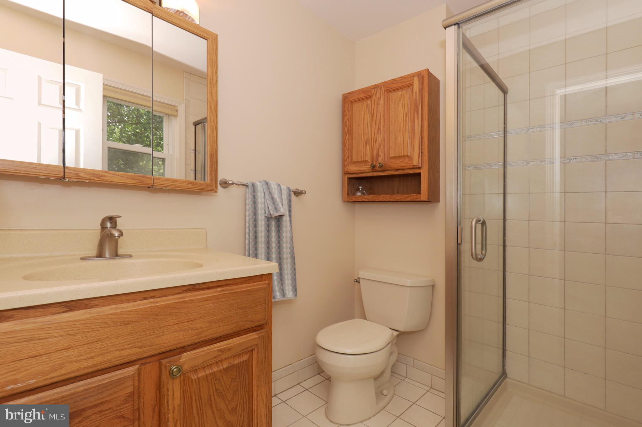 6706 Red Jacket Road Springfield, VA 22152 - Photo 23 of 48 Primary Bathroom