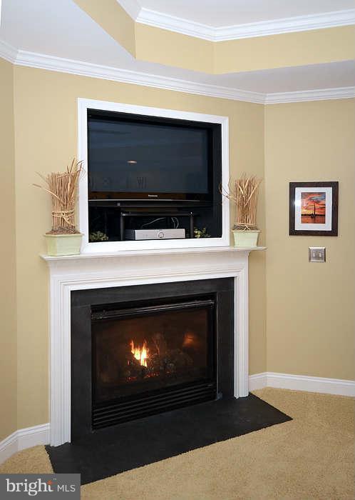 2835 Cotter Road Manchester, MD 21102 - Photo 8 of 22 Gas fireplace in master bedroom