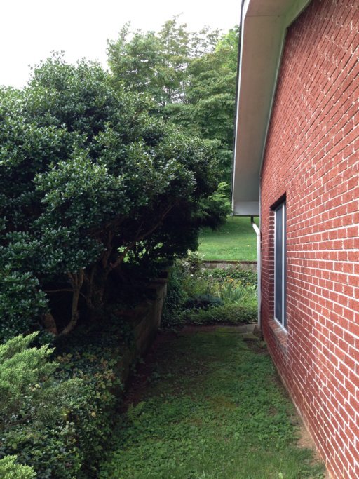 7738 Chestnut Hill Road Townsend, TN 37882 - Photo 34 of 35 Additional Photo