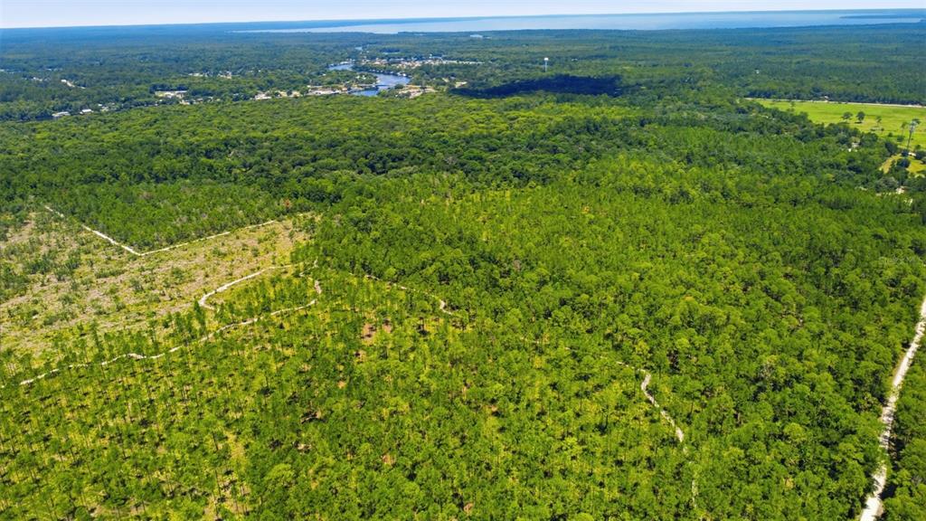 2140 St Johns River Road Astor, FL 32102 - Photo 35 of 36 a view of a green field