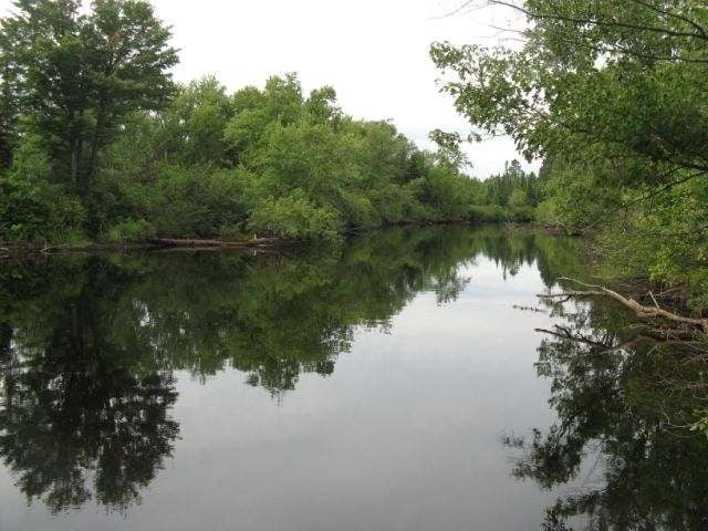 2369 Pelican Ranch Road Rhinelander, WI 54501 - Photo 2 of 9 Gallery Image 2