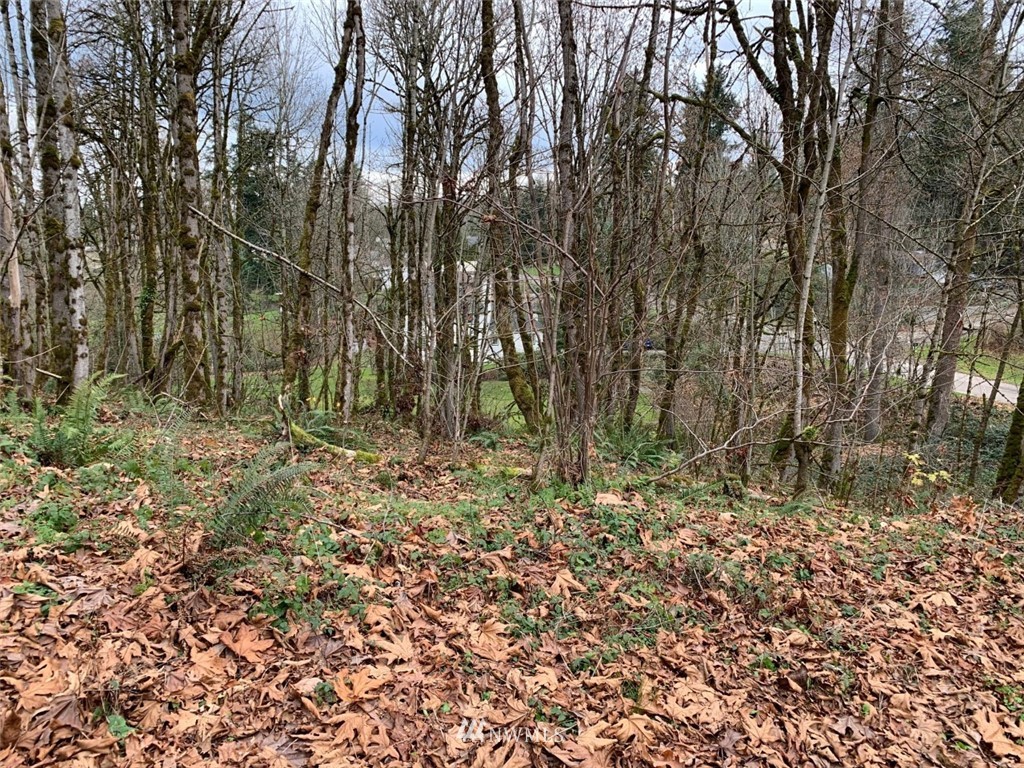 138 180th Avenue Southeast Renton, WA 98059 - Photo 11 of 29