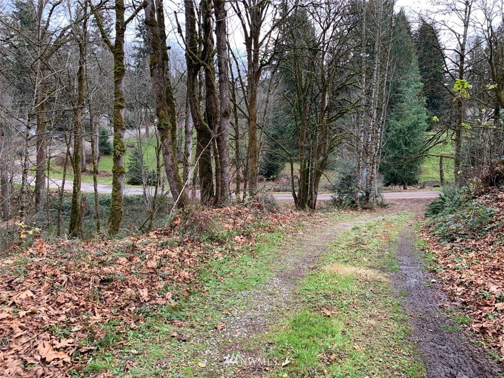 138 180th Avenue Southeast Renton, WA 98059 - Photo 13 of 29