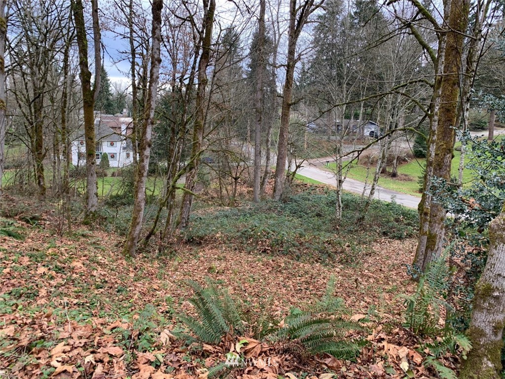 138 180th Avenue Southeast Renton, WA 98059 - Photo 15 of 29