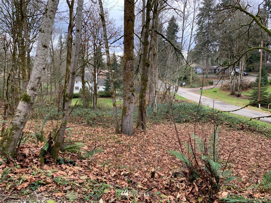 138 180th Avenue Southeast Renton, WA 98059 - Photo 16 of 29