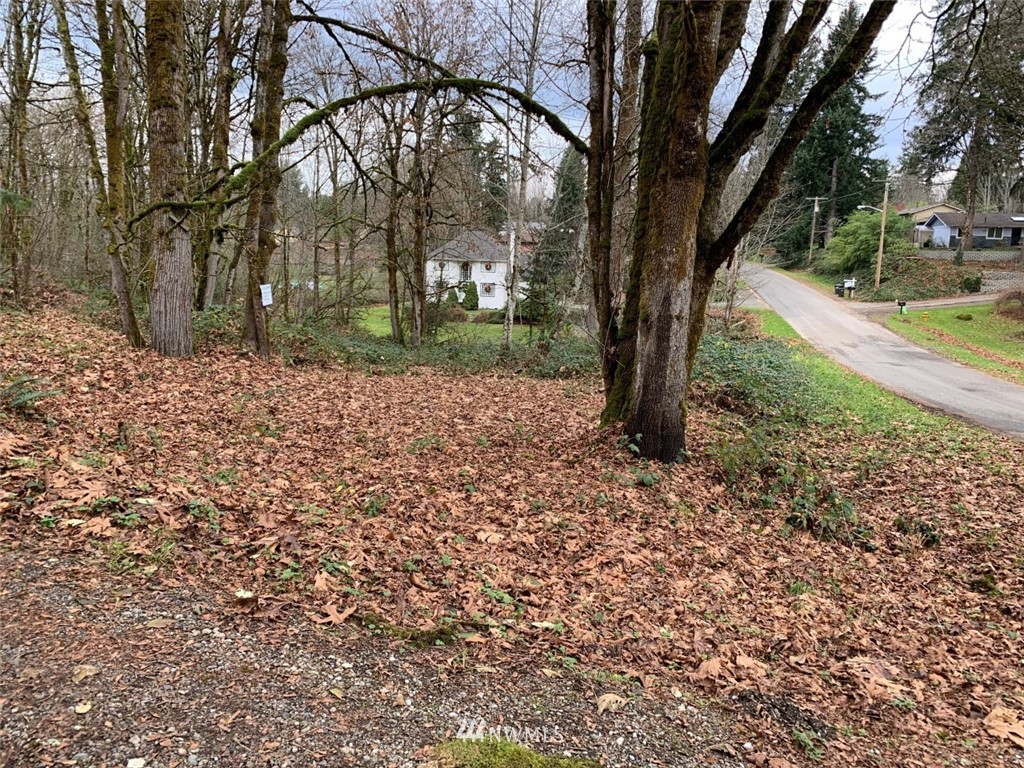 138 180th Avenue Southeast Renton, WA 98059 - Photo 18 of 29