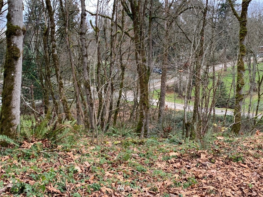 138 180th Avenue Southeast Renton, WA 98059 - Photo 19 of 29