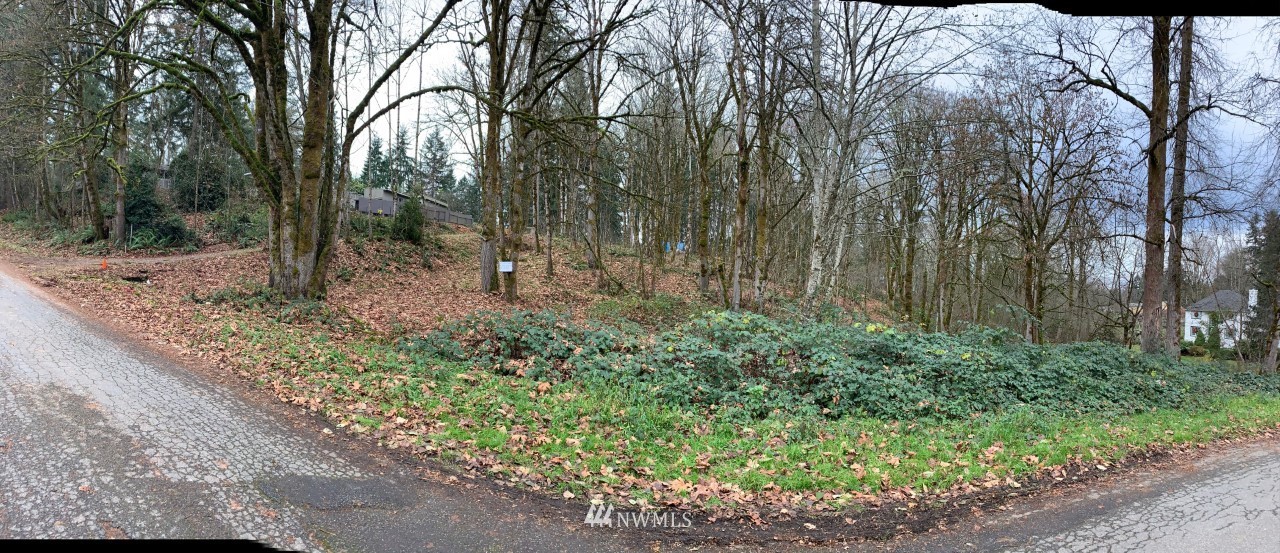 138 180th Avenue Southeast Renton, WA 98059 - Photo 28 of 29