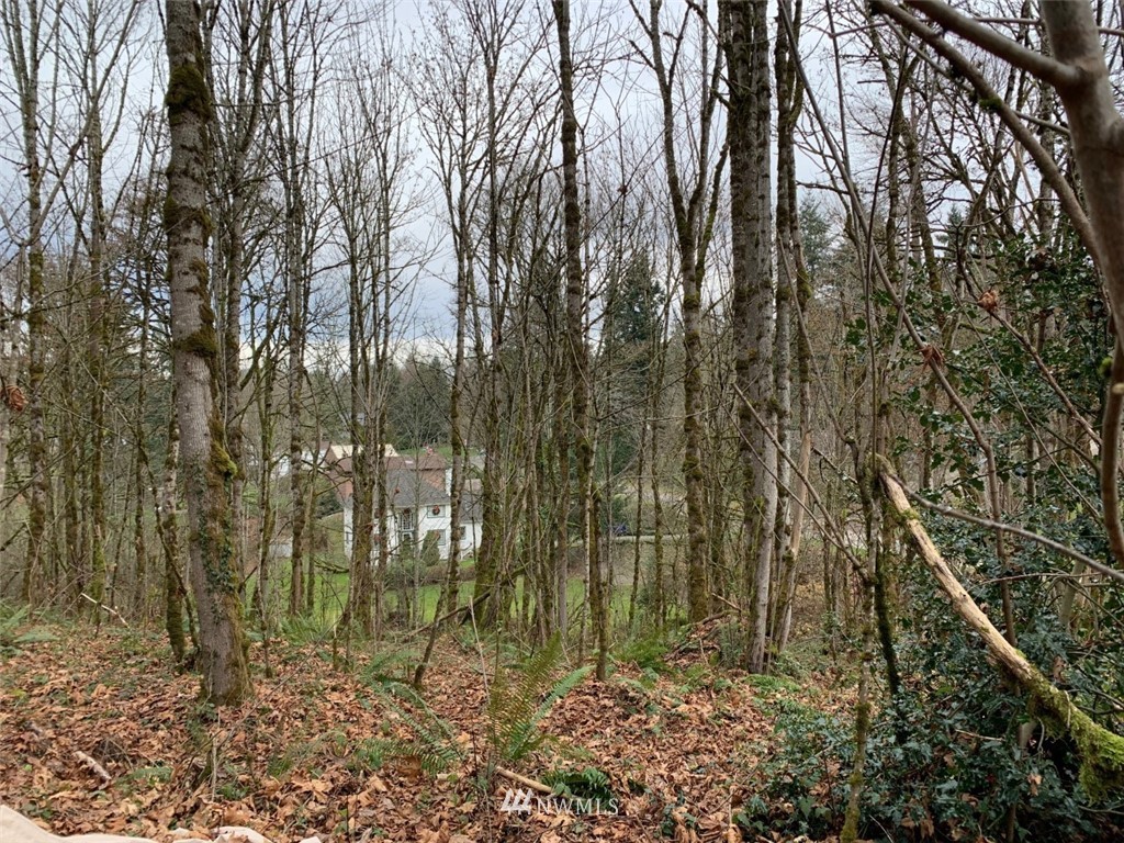 138 180th Avenue Southeast Renton, WA 98059 - Photo 8 of 29