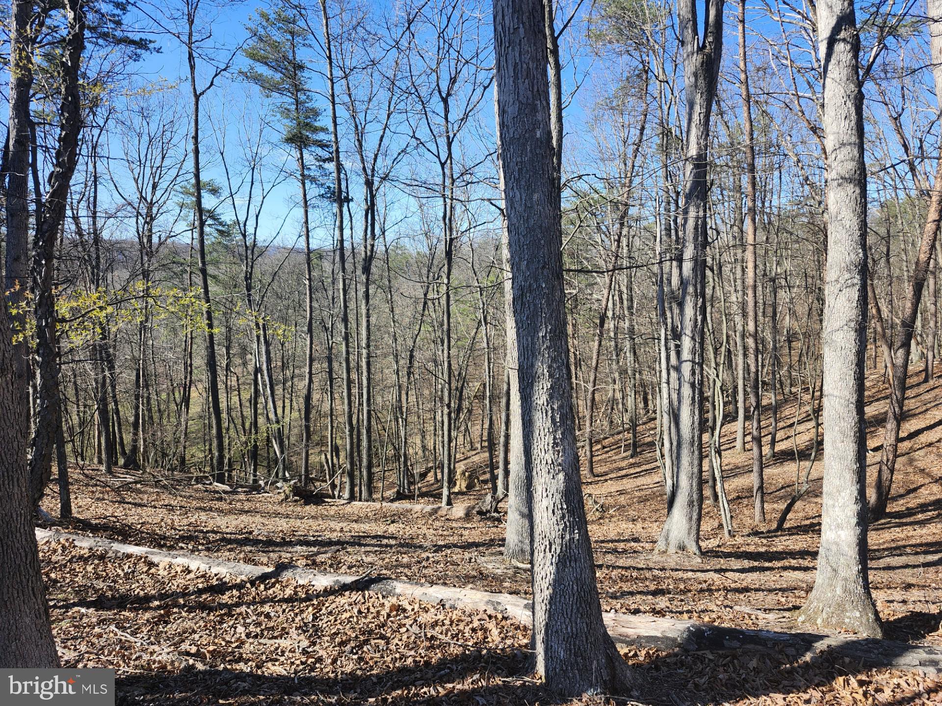 A J Kelley Road Old Fields, WV 26845 - Photo 52 of 65