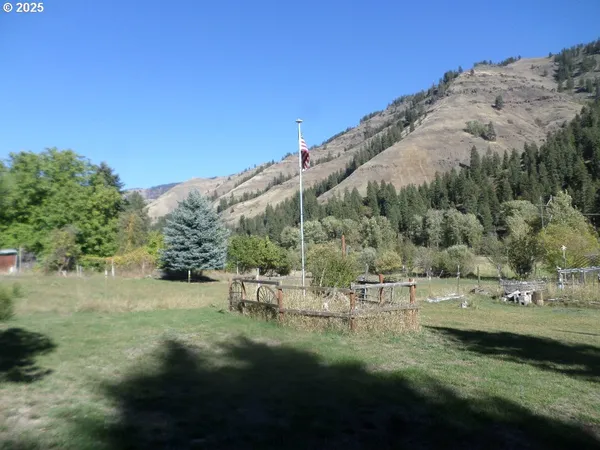 a view of a grassy area with an trees