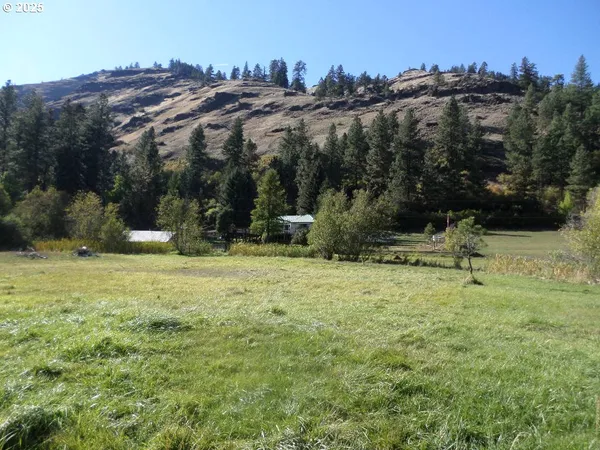a view of a field