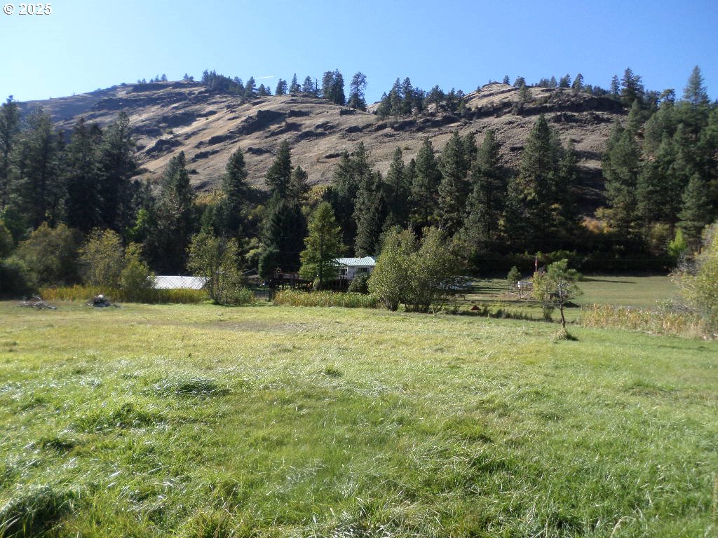 59075 Upper Imnaha Road Imnaha, OR 97842 - Photo 8 of 11 a view of a field