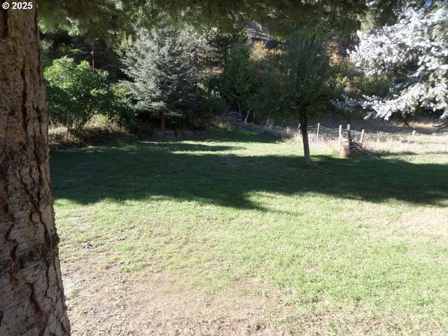 a view of yard with green space