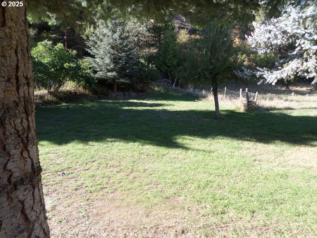 59075 Upper Imnaha Road Imnaha, OR 97842 - Photo 10 of 11 a view of yard with green space