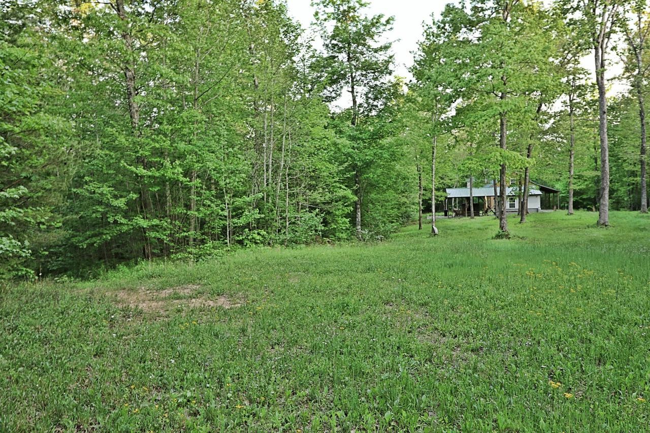 0 C E Todd Road Robbins, TN 37852 - Photo 4 of 21 Gallery Image 4