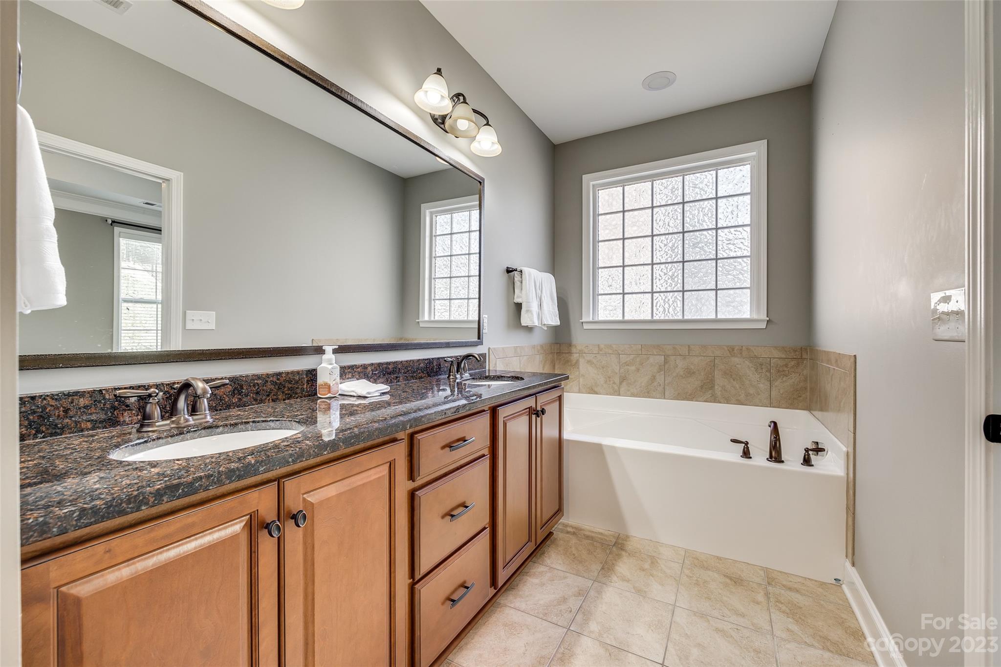 198 Annatto Way Tega Cay, SC 29708 - Photo 25 of 45 a bathroom with a granite countertop tub sink and mirror