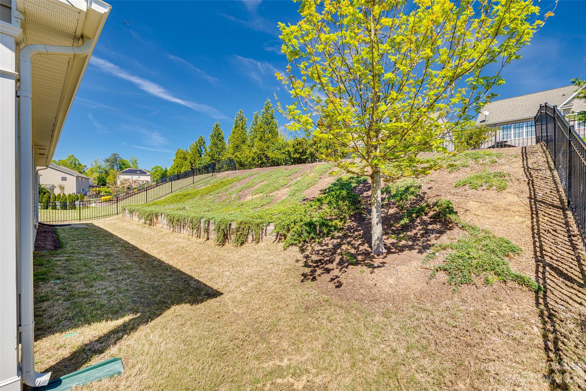 198 Annatto Way Tega Cay, SC 29708 - Photo 38 of 45 a view of a yard