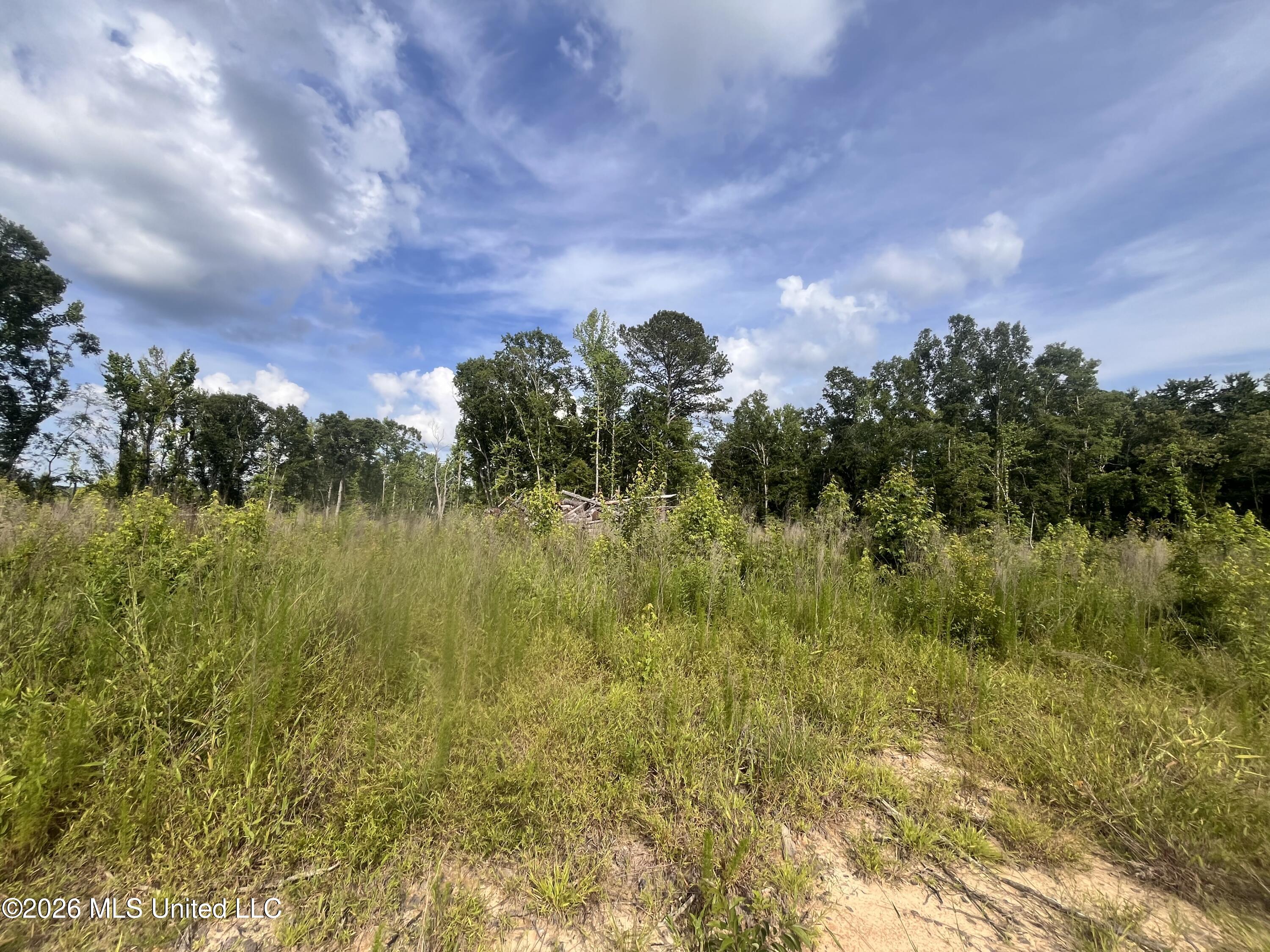0 Pettey Road Forest, MS 39074 - Photo 9 of 15 IMG_4078