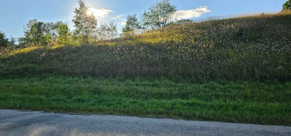 $12,000 | Lot 708 East Dutch Hollow, La Valle, WI 53941