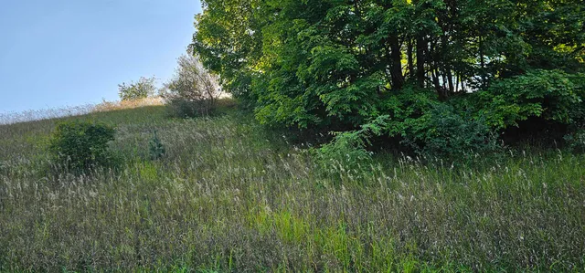 $30,000 | Lot 708 East Dutch Hollow, La Valle, WI 53941